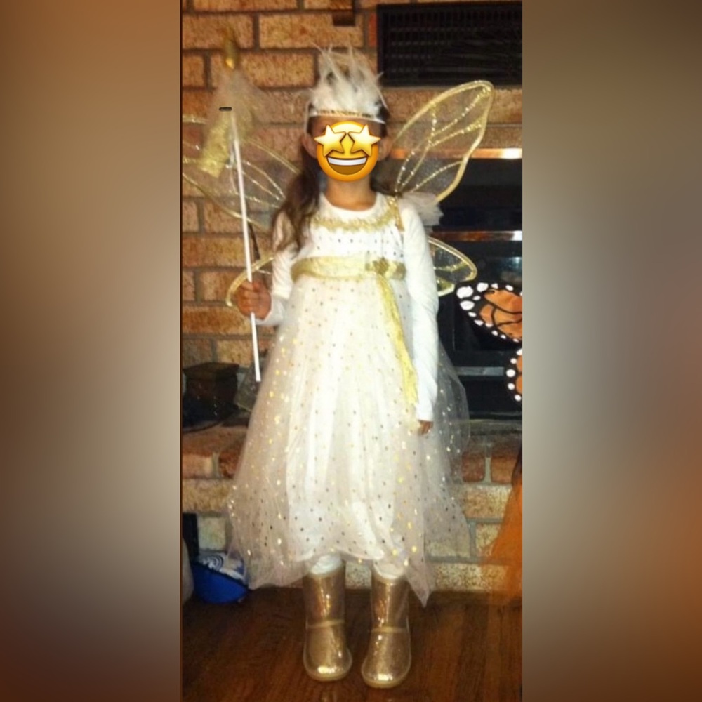 Fairy Costume with Wings